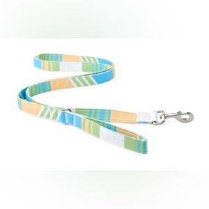 New YOULY The Champion Multicolor Striped Dog Leash, 6 ft.
Description